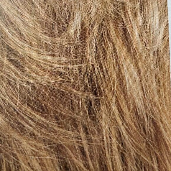 THE COLOR IN THE PICTUREE IS NOT THE COLOR OF THE WIG SEE COLOR CELEBRITY WIG - Picture 3 of 3